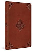 Algopix Similar Product 15 - ESV Large Print Value Thinline Bible