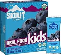 Algopix Similar Product 7 - SKOUT Organic Blueberry Blast Kids