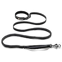 Algopix Similar Product 20 - RUFFWEAR Roamer Dog Leash Adjustable
