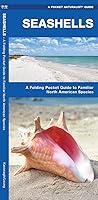 Algopix Similar Product 20 - Seashells A Folding Pocket Guide to