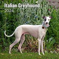 Algopix Similar Product 1 - MegaCalendars  Italian Greyhound