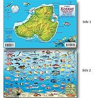 Algopix Similar Product 19 - Franko Maps Kosrae Micronesia Reef Dive