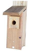 Algopix Similar Product 7 - Stovall Products 1H Chickadee and Wren