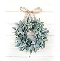 Algopix Similar Product 14 - Mini lambs ear wreath