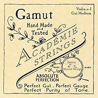 Algopix Similar Product 18 - Academie Violin e-1 Gut Medium Gauge
