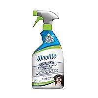 Algopix Similar Product 1 - Woolite Advanced Pet Stain  Odor