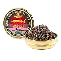 Algopix Similar Product 4 - OVERNIGHT SHIPPING OLMA Osetra