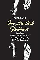 Algopix Similar Product 10 - Our Beautiful Darkness: A Graphic Novel