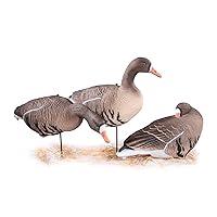 Algopix Similar Product 11 - Heerweiyi specklebelly goose decoys