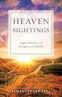Algopix Similar Product 1 - Heaven Sightings Angels Miracles and
