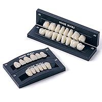 Algopix Similar Product 4 - Dental Acrylic Resin Denture False