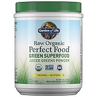 Algopix Similar Product 19 - Garden of Life Raw Organic Perfect Food