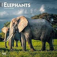 Algopix Similar Product 12 - Elephants  2024 12 x 24 Inch Monthly