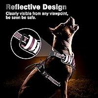 WINSEE Service Dog Vest No Pull Dog Harness with 7 Dog Patches, Reflective Pet  Harness with