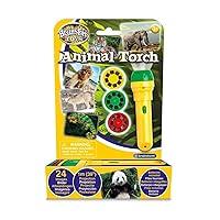 Algopix Similar Product 11 - Brainstorm Toys STEM Animal Torch and