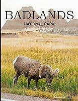 Algopix Similar Product 7 - Badlands National Park A Visual