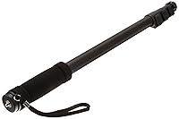 Algopix Similar Product 4 - Amazon Basics 67-Inch Monopod, Black