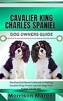 Algopix Similar Product 7 - CAVALIER KING CHARLES SPANIEL DOG