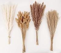 Algopix Similar Product 15 - Dried Pampas Grass Decor 100 PCS
