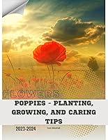 Algopix Similar Product 16 - Poppies  Planting Growing and Caring