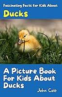 Algopix Similar Product 20 - A Picture Book for Kids About Ducks