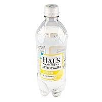 Algopix Similar Product 1 - HALS NEW YORK Lemon Seltzer, 20 FZ