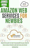 Algopix Similar Product 20 - AMAZON WEB SERVICES FOR NEWBIES  A