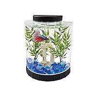 Algopix Similar Product 19 - Tetra 1 Gallon Half Moon Small Fish