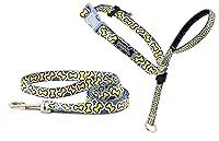 Algopix Similar Product 20 - PetSafe Chic Gentle Leader Headcollar