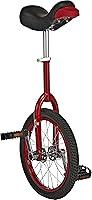 Algopix Similar Product 4 - Fun 16 Inch Wheel Unicycle with Alloy