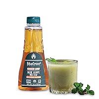Algopix Similar Product 13 - BLUE GREEN ORGANICS Agave syrup