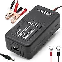 Algopix Similar Product 14 - 146 Volt LiFePO4 Battery Charger