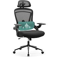 Algopix Similar Product 6 - Ergonomic Mesh Office Desk ChairHigh