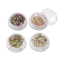 Algopix Similar Product 2 - 4 Box Mini Dry Flowers Tiny Dried