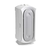 Algopix Similar Product 5 - Hamilton Beach TrueAir Air Purifier
