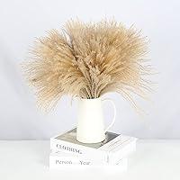 Algopix Similar Product 13 - HUAESIN Natural Dried Pampas Grass