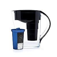 Algopix Similar Product 9 - Santevia MINA Alkaline Water Filter