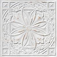 Algopix Similar Product 15 - From Plain To Beautiful In Hours