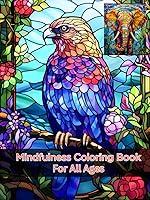 Algopix Similar Product 17 - Mindfulness Coloring Book For All Ages