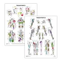 Algopix Similar Product 13 - 2 PACK Trigger Points I  II Poster