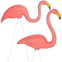 Algopix Similar Product 15 - Galashield Pink Flamingo Yard