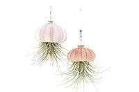 Algopix Similar Product 14 - 2 Dirty Birds Handmade Hanging Sea