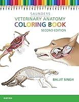 Algopix Similar Product 19 - Veterinary Anatomy Coloring Book