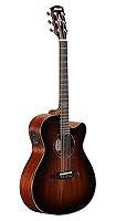 Algopix Similar Product 4 - Alvarez AF66CESHB Artist Series Guitar