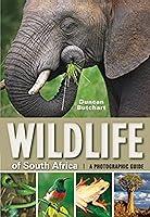 Algopix Similar Product 10 - Wildlife of South Africa A