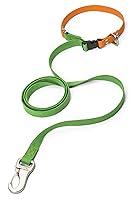 Algopix Similar Product 3 - West Paw Jaunts Dog Leash with Comfort