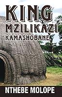 Algopix Similar Product 6 - KING MZILIKAZI KAMASHOBANE THE BRAVE