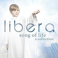 Algopix Similar Product 11 - Song of Life: A Collection