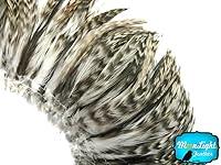 Algopix Similar Product 8 - Rooster Feathers Natural Grey
