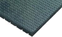 Algopix Similar Product 12 - 4x6x3/4Equine Stall Mat, Pack of 25